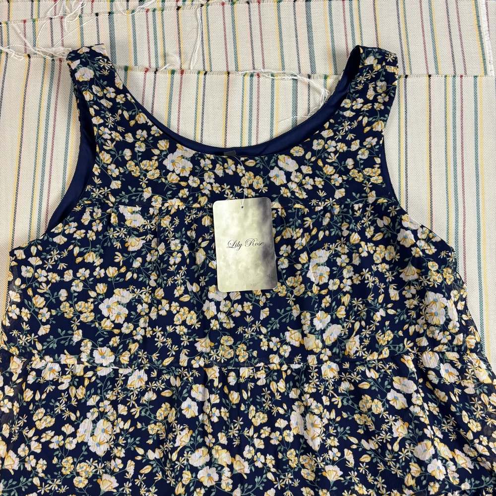 Lily Rose Dress Womens L Blue Floral Fit Flare Scoop Neck Sleeveless Lined NEW